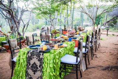 Colorful long table breakfast setup outside amongst trees and cactus at the Arikok National park